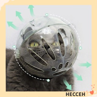 Hecceh ตะกร้อครอบหัวแมว รูปลูกบอล อุปกรณ์อาบน้ํา ฮู้ดอวกาศ
