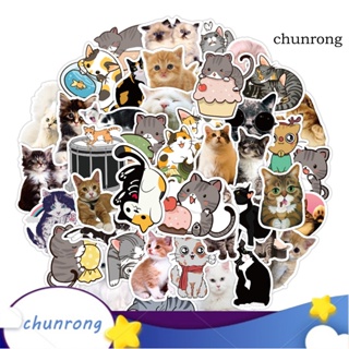 Chunrong สติกเกอร์ ลายการ์ตูนกราฟฟิตี้ แมวน่ารัก กันน้ํา สําหรับติดตกแต่งกระเป๋าเดินทาง แล็ปท็อป ตู้เย็น รถยนต์ 50 ชิ้น