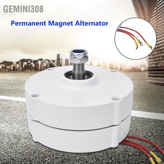  Gemini308 เครื่องกำเนิดไฟฟ้าแม่เหล็กถาวรกังหันลม 12V 100W เครื่องกำเนิดไฟฟ้ากระแสสลับซิงโครนัส 3 เฟส NE-100