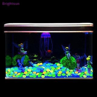 Brightsun หินกรวดเรืองแสงในที่มืด คละสี สําหรับตกแต่งตู้ปลา 100 ชิ้น ต่อถุง