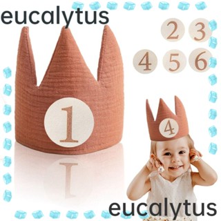 Eucalytus1 หมวกแบนเนอร์ ปาร์ตี้วันเกิด สําหรับเด็ก