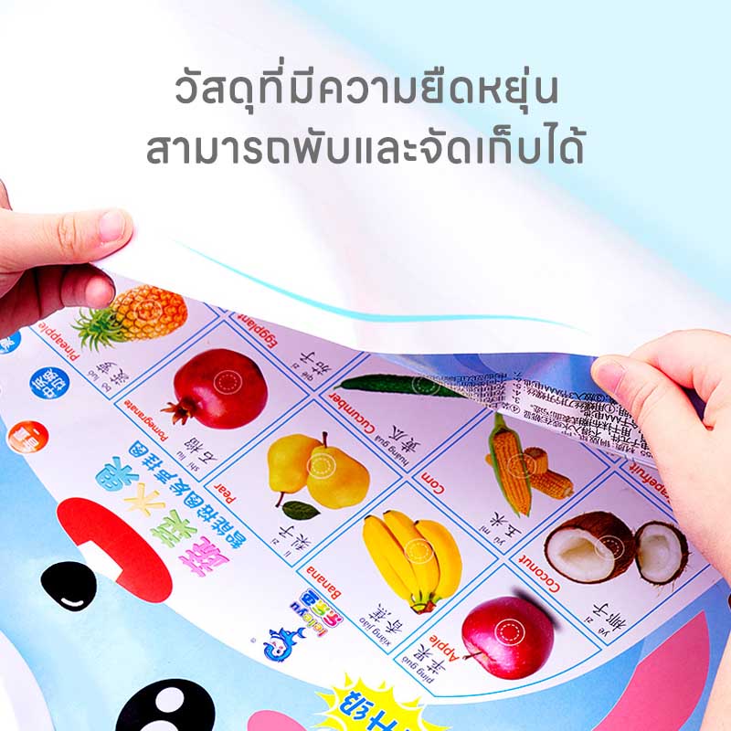 COD โปสเตอร์พูดได้ พัฒนาการของเด็ก 3 ภาษา โปสเตอร์สอนคำศัพท์ ของเล่นภาษา