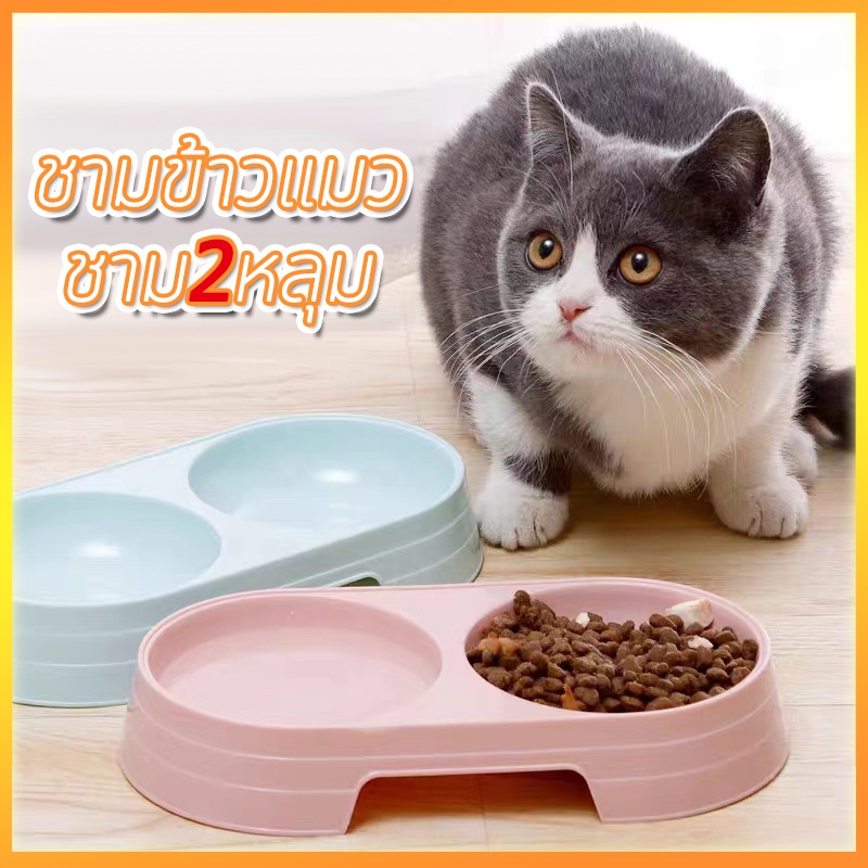 PetyPet P11 ชุดชามให้อาหารสัตว์เลี้ยง ชามให้อาหารและน้ำสำหรับสุนัขและแมว