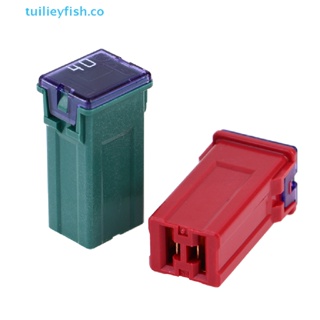 Tuilieyfish ฟิวส์รถยนต์ ทรงสี่เหลี่ยม ขนาดเล็ก 32V 20A 25A 30A 40A 50A60A พร้อมกล่องพลาสติก