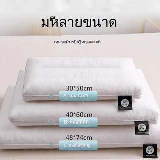 [Ten Beans] หมอนผ้าฝ้ายแท้ แบบนิ่ม บางพิเศษ สําหรับผู้ใหญ่ และเด็กนักเรียนหญิง30*50cm/40*60cm/48*74cm
