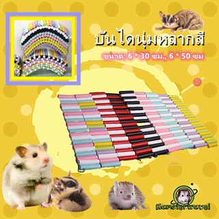 [hamstertravel] สะพานดัด ของเล่นสำหรับสัตว์เลี้ยง แฮมสเตอร์ เม่นแคระRT