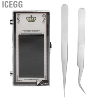 Icegg Individual Lashes Kit Portable Hygienic Precise Safety  Complete Professional for Beauty Salon