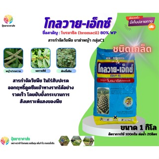 โบรมาซิล โกลวาย-เอ็กซ์ 1กิโล สารกำจัดวัชพืช ในไร่สับปะรด ออกฤทธิ์ดูดซึมเข้าราก ยับยั้งกระบวนการสังเคราะห์แสงวัชพืช