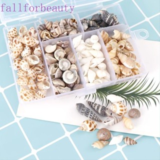 Fallforbeauty เปลือกหอยธรรมชาติ แฮนด์เมด ไม่มีรูพรุน สําหรับทําเครื่องประดับ