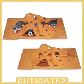 [Cuticate2] ของเล่นอุโมงค์ ที่นอน ผ้าสักหลาด เปลี่ยนรูปได้ สําหรับสัตว์เลี้ยง แมว DIY