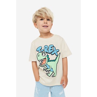 H&amp;M  Boy 2-pack cotton T-shirts 1057983_1