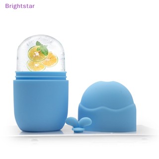 Brightstar ถาดน้ําแข็งซิลิโคน รูปลูกโลก สําหรับนวดใบหน้า ลดสิว