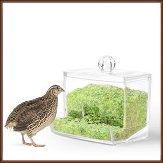 Jaz Rutin เครื่องให้อาหารไก่อัตโนมัติ ความจุขนาดใหญ่ ป้องกันการพลิกคว่ํา กล่องอาหารสัตว์ขนาดเล็ก อุปกรณ์ให้อาหารสัตว์