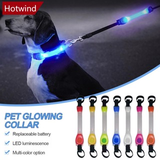 Hotwind ปลอกคอไฟกระพริบ LED กันน้ํา ป้องกันการสูญหาย สําหรับสัตว์เลี้ยง สุนัข G4J5