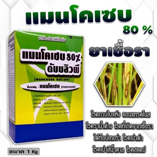 แมนโคเซบ 80% wp ขนาด 1 กิโลกรัม ป้องกันและกำจัดชื้อรากว่า 400 ชนิด แอนแทรคโนส โรคPhytophtora โรคสแคป ราน้ำค้าง โรคเน่าดำ