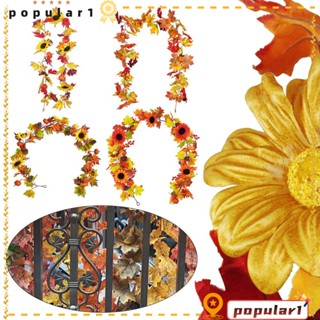POPULAR ฟักทอง ดอกทานตะวัน คริสต์มาส ฮาโลวีน หวาย