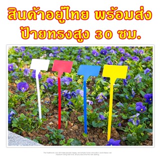 ป้ายชื่อต้นไม้พลาสติก ทรงสูงหัวเอียง แพ็คละ 10 ชิ้น ป้ายชื่อบอนสี ป้ายชื่อไม้มงคล ป้ายแท็ก ป้ายตัวT(พร้อมส่ง) PEAT