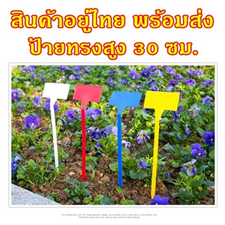 ป้ายชื่อต้นไม้พลาสติก ทรงสูงหัวเอียง แพ็คละ 10 ชิ้น ป้ายชื่อบอนสี ป้ายชื่อไม้มงคล ป้ายแท็ก ป้ายตัวT(พร้อมส่ง) PEAT