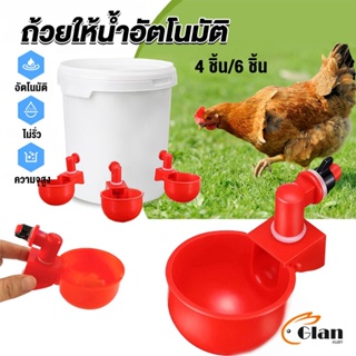 Glanxuan ถ้วยให้น้ำอัตโนมัติ สำหรับไก่ 4 ชิ้น 6 ชิ้น Automatic drinker