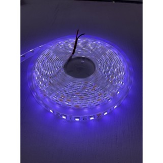 The Lamp ไฟเส้นLED 5050 แบบมีซีลีโคลนกันน้ำ 12VDC/24VDC 1ม้วนยาว5เมตร