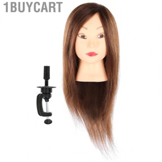 1buycart Mannequin Head  Exquisite Barber Shop Accessory Portable Durable Cosmetology Doll for Curling Knitting Heat Modeling Cutting