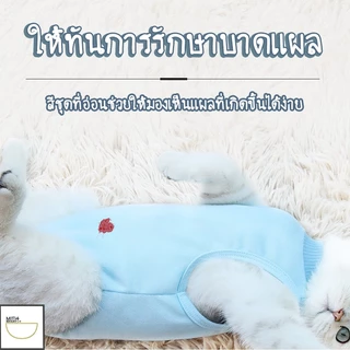 FurryCuddle พร้อมส่ง ชุดกันเลียแผล เสื้อแมว ชุดหลังผ่าตัดแมว ชุดสัตว์เลี้ยง เสื้อหลังทำหมัน ช่วยให้แผลหายไว MIP199