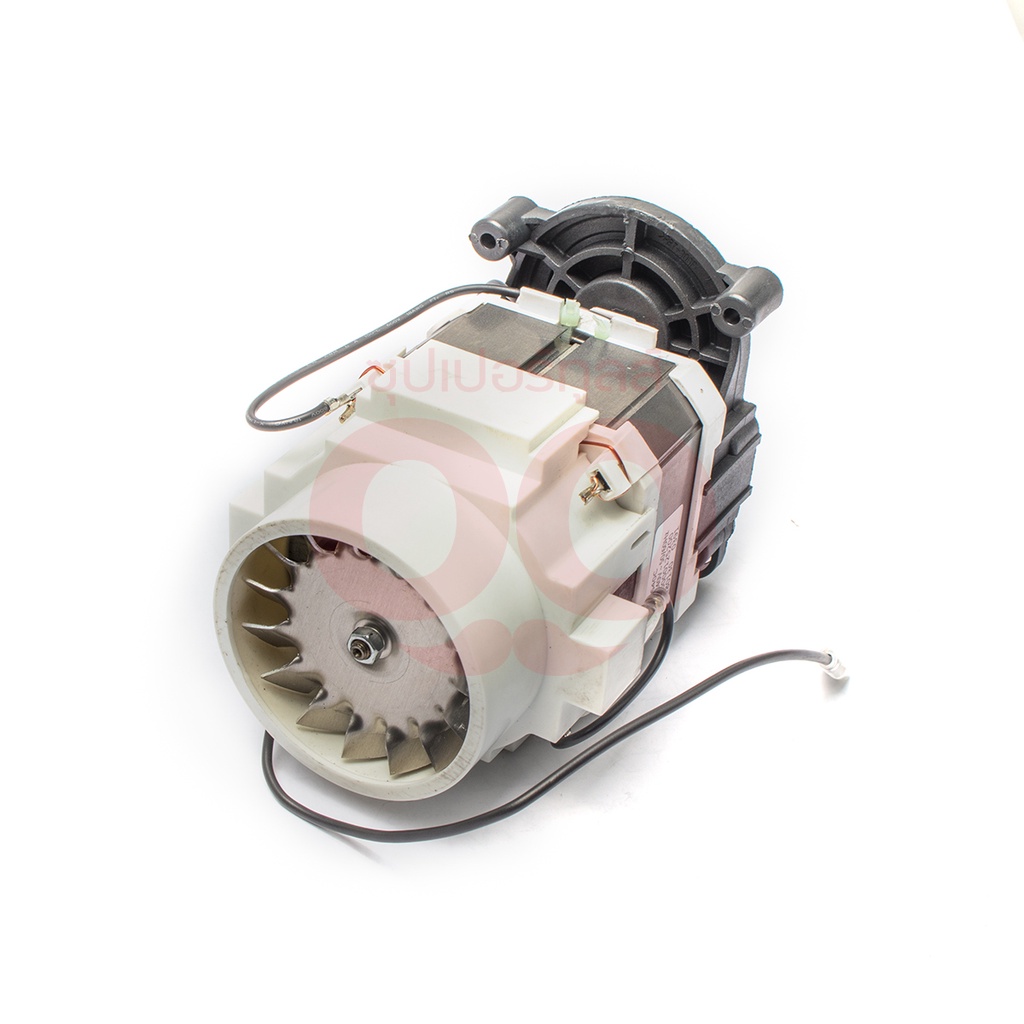 POLO (WASHERS) (โปโล(เครื่องฉีดน้ำ)) อะไหล่ WARRIOR130 MOTOR