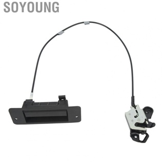 Soyoung AC2Z 15264A01 A Passenger Side Door  Assembly Lower Opening for Car