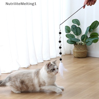 [NutriliteMelting1] ไม้กายสิทธิ์ขนนก อะคริลิค สีตัดกัน ของเล่นสําหรับสัตว์เลี้ยง แมว [TH]