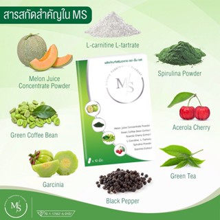 ของแท้100% MS max to slim เอ็ม เอส คุมหิว อิ่มนาน เร่งเผาพลาญ ปลอดภัย ไม่โยโย่ บอกลาพุงน้อยที่ย้อยคล้อย