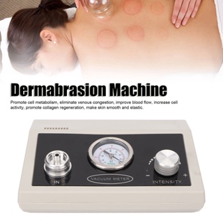 Lily PERS Diamond Microdermabrasion Machine การกำจัดสิวหัวดำ การขุดลอก Meridian Vacuum Dermabrasion Beauty Device 100-240V