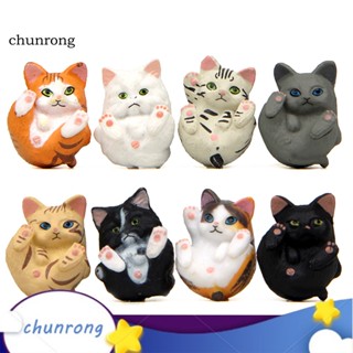 Chunrong ตุ๊กตาแมว สําหรับตกแต่งสวน โต๊ะ รถยนต์ 8 ชิ้น