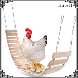 [Hatel] ของเล่นบันไดสวิงไก่ ขนาดใหญ่ สําหรับนกแก้วขนาดกลาง