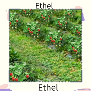 Ethel1 ถาดปลูกต้นไม้ สตรอเบอร์รี่ 1 ชิ้น