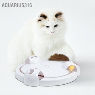  Aquarius316 Catch Mouse Cat Turntable Interactive Speed ​​แมวหมุนได้ของเล่นจานหมุนพร้อมรูเมาส์ 3 รูสำหรับของเล่นแมวสัตว์เลี้ยง