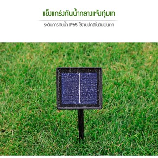 หลอดไฟ ไฟตกแต่ง ไฟกระพริบ ไฟแต่งสวน ไฟปิงปอง