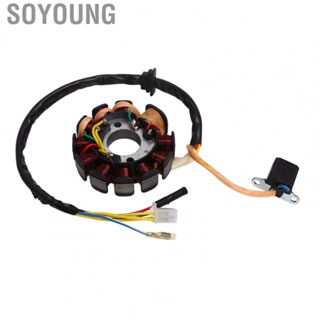 Soyoung Ignition Electrical Coil  Fine Workmanship High Performance 11 Coil Wear Resistant High Temperature Resistant Magneto Ignition Stator Coil  for ATV for 4 Stroke