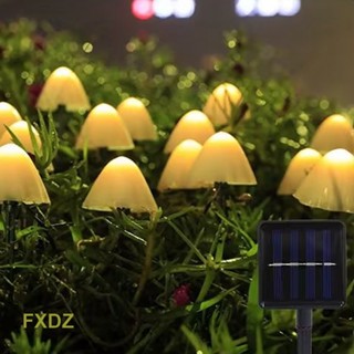 Fxdz โคมไฟ LED 20 ดวง พลังงานแสงอาทิตย์ กันน้ํา 5 เมตร สําหรับตกแต่งสวน กลางแจ้ง