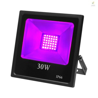 [พร้อมส่ง] โคมไฟโปรเจคเตอร์ UV LED กันน้ํา IP66 85-265V 30W สีม่วง สําหรับติดเวที