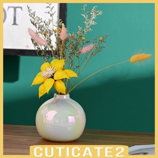 [Cuticate2] แจกันดอกไม้เซรามิค สไตล์โบโฮ โมเดิร์น สําหรับตกแต่งบ้าน งานแต่งงาน