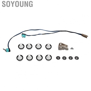 Soyoung 1042845 00 A Door Panel  Handle Upgrade Kit for Model S 2012‑2017