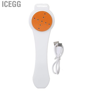 Icegg 650nm Handheld Red Infrared Light Reduce Pain Accelerate Healing Far Lamp for Joint Shoulder