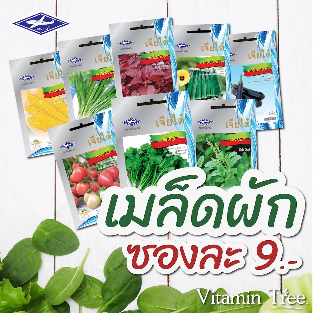 เมล็ดผัก เจียไต๋ 9บาท ผักสวนครัว ผักบุ้ง ผักกาด ต้นหอม มะเขือ กวางตุ้ง กะเพรา โหระพาผักชีแฟงคะน้าแตง