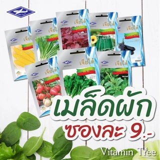 เมล็ดผัก เจียไต๋ 9บาท ผักสวนครัว ผักบุ้ง ผักกาด ต้นหอม มะเขือ กวางตุ้ง กะเพรา โหระพาผักชีแฟงคะน้าแตง