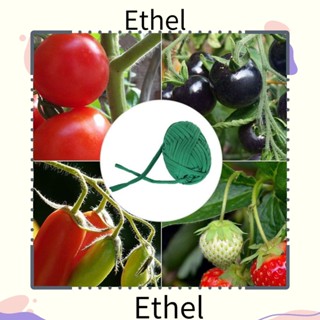 Ethel1 สายเคเบิล แบบเกลียว 30 เมตร สําหรับปลูกต้นไม้