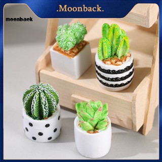 &lt;moonback&gt; บอนไซประดิษฐ์ คละสี ทนฝน และแดด สําหรับบอนไซ 4 ชิ้น