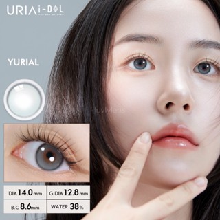 พร้อมส่ง มาใหม่ Idollens Yurial - Mul Gray คอนแทคเลนส์รายปี คอนแทคเลนส์เกาหลี