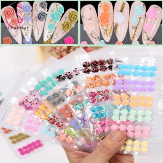 OCEANMAP Salon Arylic Nail Art Decoration Colorful Nail Rhinestones 3D Rose Resin Flowers Beautiful Candy Color Manicure Accessories Petal Various Nail Jewelry DIY Nail Art