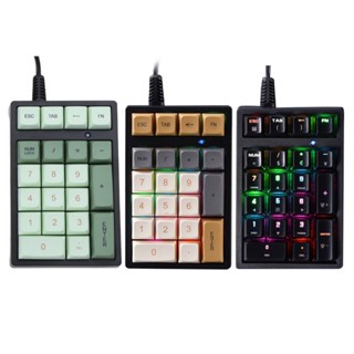 Iorsoul1 คีย์บอร์ดตัวเลข 21 คีย์ มีสาย USB RGB สีเขียว สําหรับแล็ปท็อป คอมพิวเตอร์