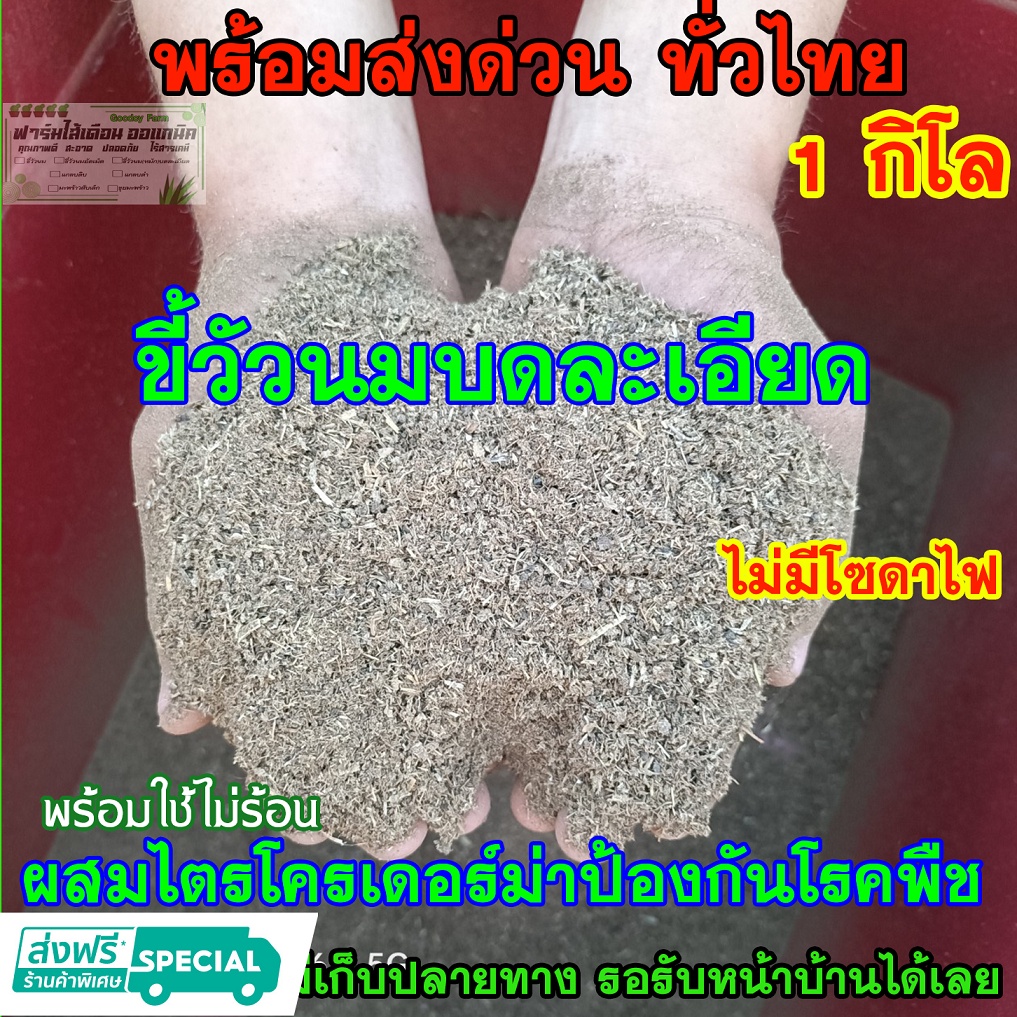 ปุ๋ย ขี้วัวนมป่นแห้ง บดละเอียด คัดอย่างดี ไม่มีโซดาไฟ ผสมไตรโครป้องกันโรคพืช จากฟาร์มโดยตรง 1 กิโลกร